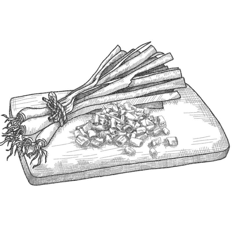 Country pleasin illustration green onion