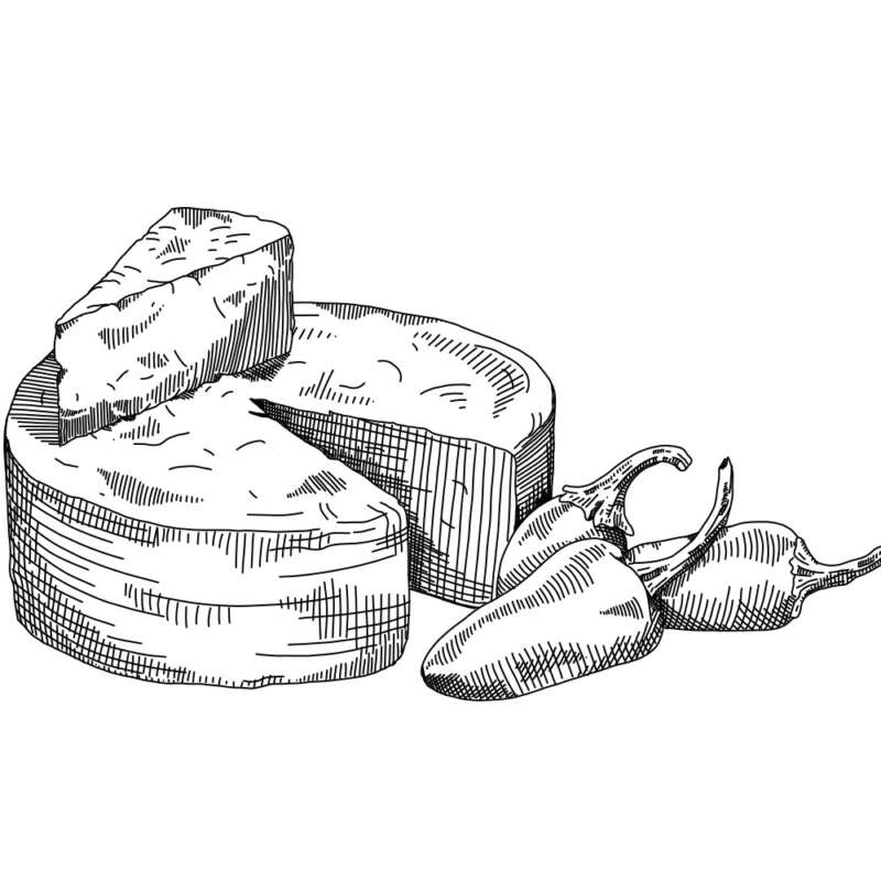Country pleasin illustration jalepeno and cheddar