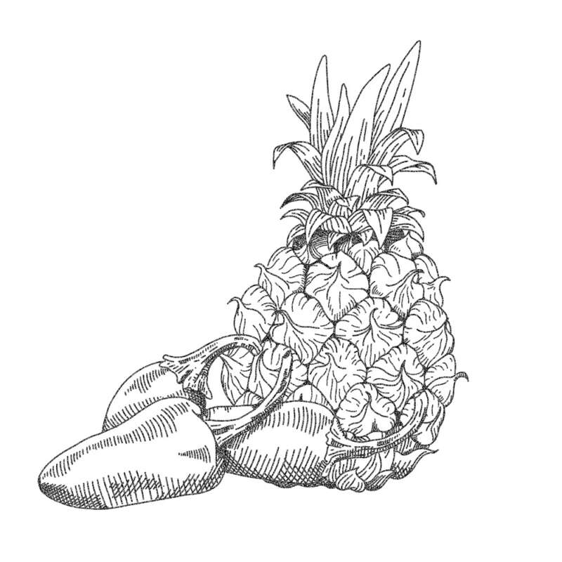 Country pleasin illustration jalepeno and pineapple