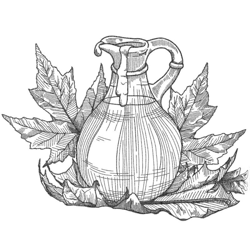 Country pleasin illustration maple