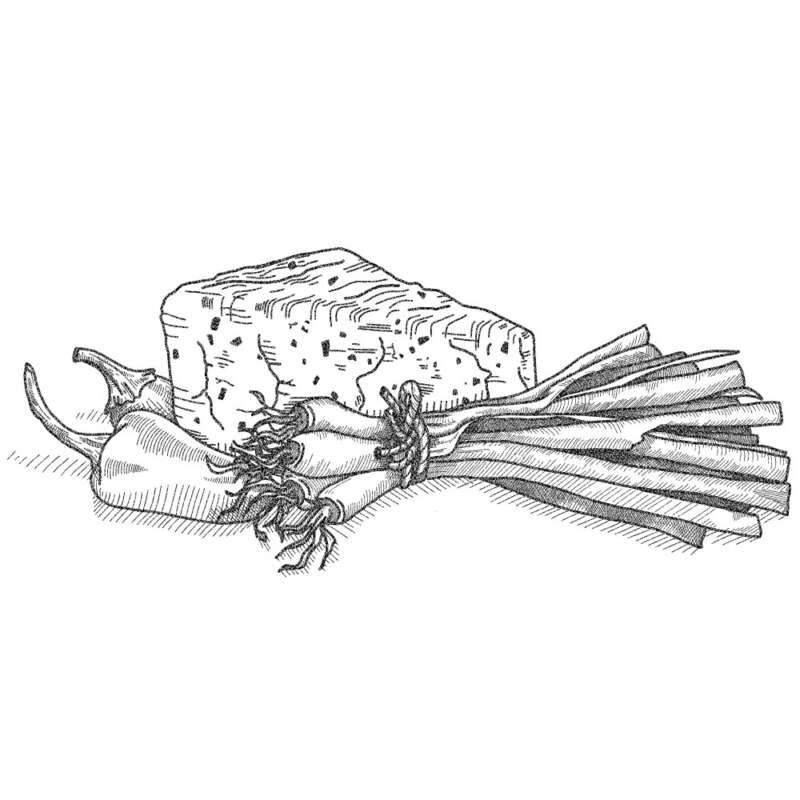Country pleasin illustration pepper jack and green onion