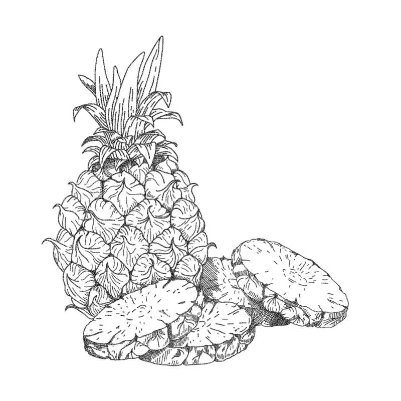 Country pleasin illustration pork and pineapple