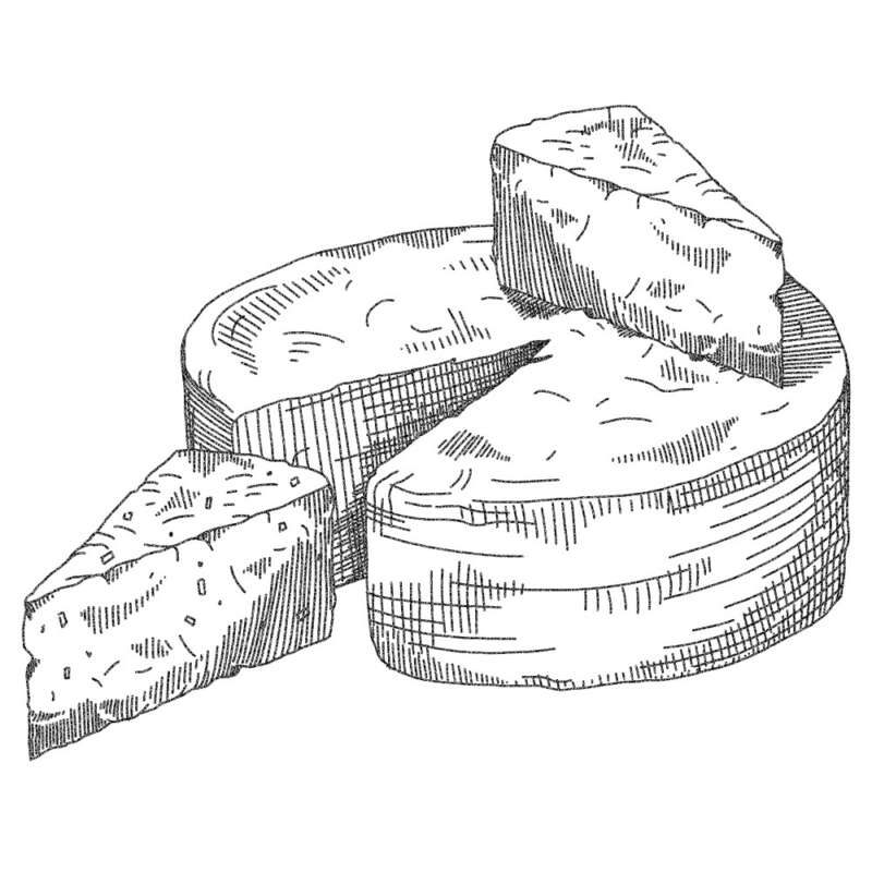 Country pleasin illustration three cheese